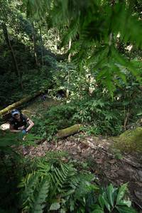 BIB: 
                            <button type="button" onclick="openModal(16028517)" class="btn btn-primary btn-sm float-right btn-popup" data-toggle="modal" data-target=".modal-high-quality">
                        <i class="fas fa-shopping-cart"></i> Add to Cart
                    </button>
                                            <button type="button" onclick="isThisMe(16028517, true)" class="btn btn-success btn-sm float-right btn-popup btn-isme hidden" data-toggle="tooltip" data-placement="bottom" title="นี่คือรูปของคุณใช่ไหม คลิกที่นี่เพื่อเอาเข้าอัลบั้ม">
                        <i class="fas fa-plus"></i> Add to album
                    </button>
                    <button type="button" onclick="isThisMe(16028517, false)" class="btn btn-warning btn-sm float-right btn-popup btn-isnotme hidden">
                        <i class="fas fa-ban"></i> Remove from album
                    </button>